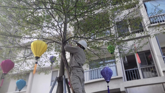 Công tác chuẩn bị đón Tết Nguyên Đán tại các TTQLVH của Đất Việt